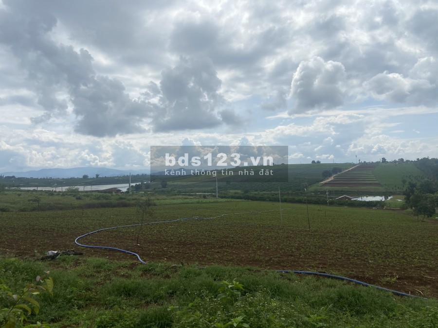 Bán đất View hồ phúc Thọ khu Đà Lạt Lâm Đồng lô góc chỉ 1.4 tỷ