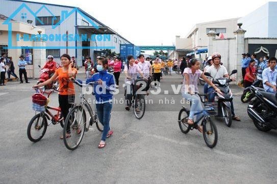 Tôi có quỹ đất 3500m3, cần tiền trả nợ nên cần bán gấp: 480 triệu (0902.788.418)