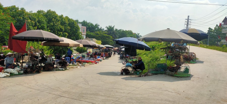 Bán đất diện tích 42.8m2, Hải Bối Đông Anh, ngõ ô tô an sinh đỉnh, lhcc