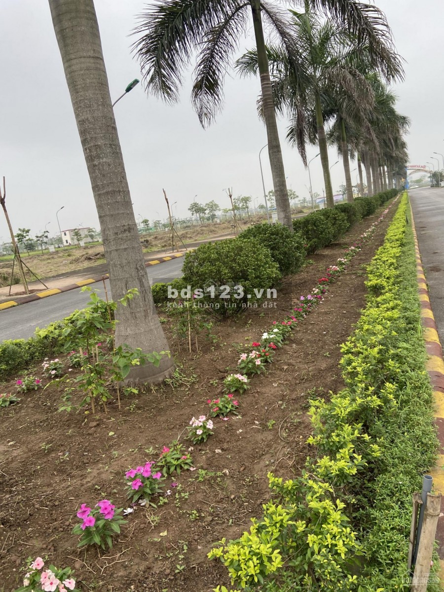 Inoha City Đại Xuyên Phú Xuyên, Hà Nội, dự án đầu tư sinh lời