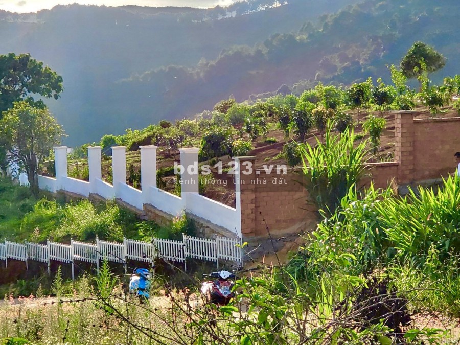 Dành cho anh chị cần tìm đất đầu tư nghỉ dưỡng view đẹp giá rẻ chỉ 600 triệu
