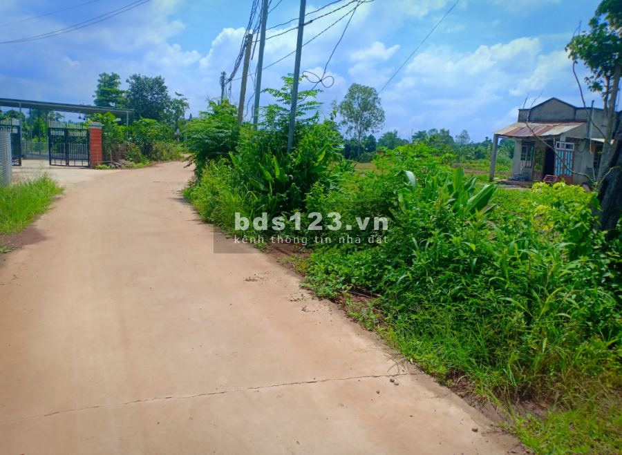 Bán 3 sào đất cẩm mỹ lô góc 2 mặt tiền có thổ giá rẻ