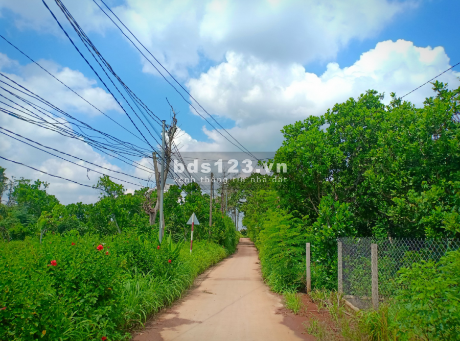 Bán 3 sào đất cẩm mỹ lô góc 2 mặt tiền có thổ giá rẻ