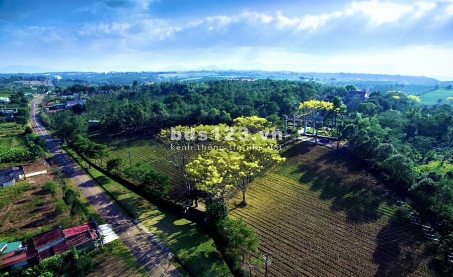 Đất nghỉ dưỡng mát mẽ trong lành yên tĩnh giá rẻ tuyệt vời nhất Lâm Đồng