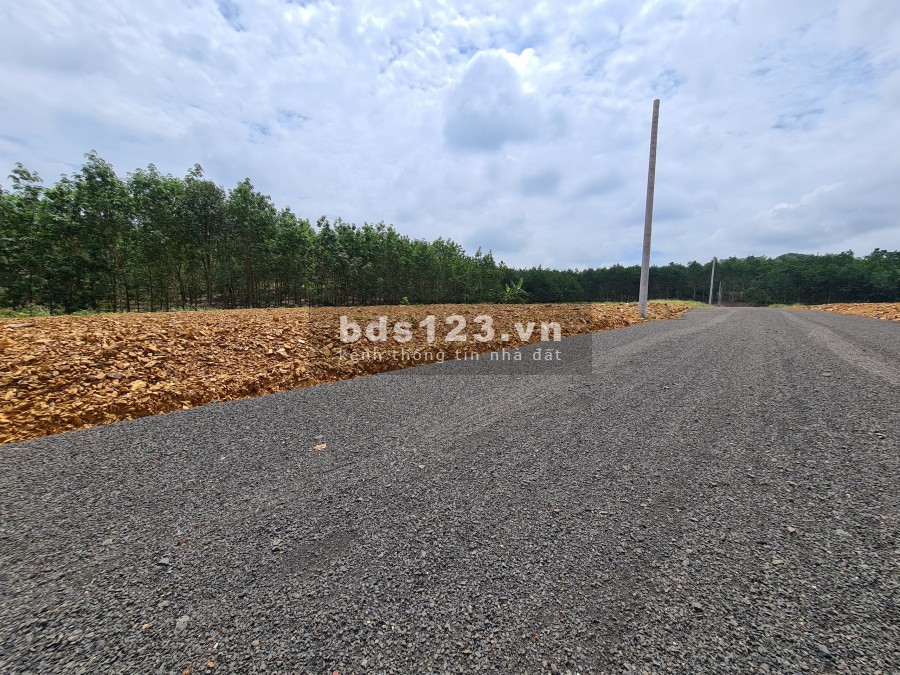 Thổ cư đường DT753, dt 295m2, giá 595 triệu sang tên ngay, lhcc