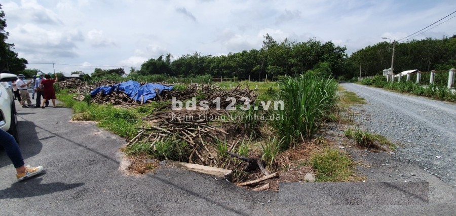 Cần bán gấp lô đất 5x24.6 123m2 X.Trung Lập Thượng, H. Củ Chi Giá 1.350 Tỷ Full thổ