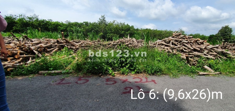 Cần bán gấp lô đất 5x24.6 123m2 X.Trung Lập Thượng, H. Củ Chi Giá 1.350 Tỷ Full thổ