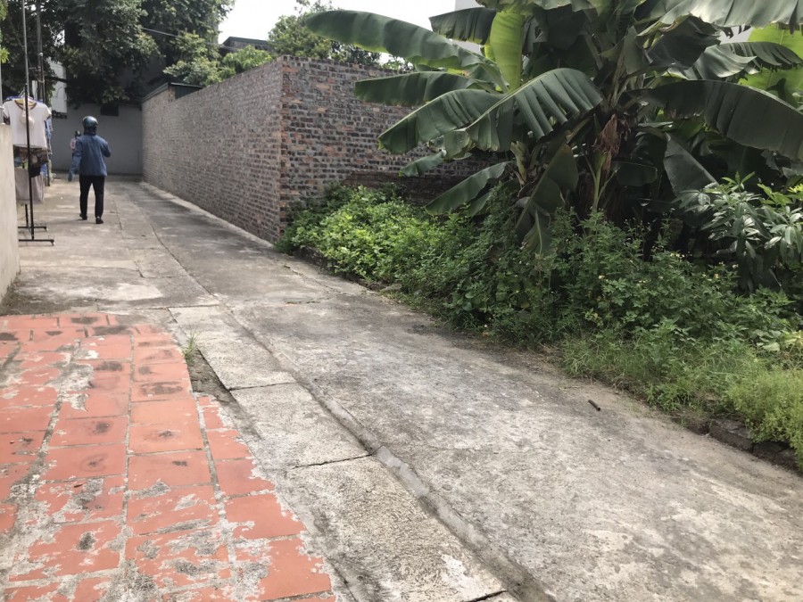 Cần bán mảnh đất đẹp 57m2 Mỹ Nội Bắc Hồng huyện Đông Anh, đường rộng 3.5m