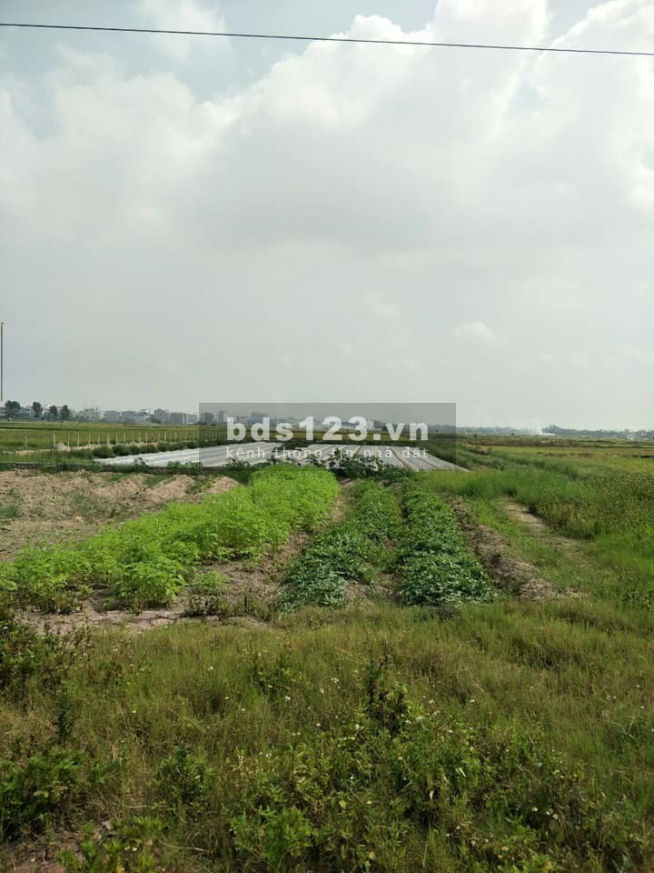 Nhượng lại lô đất 100m2 tại An Bình, Nam Sách, tỉnh Hải Dương, giá 2.2 tỷ