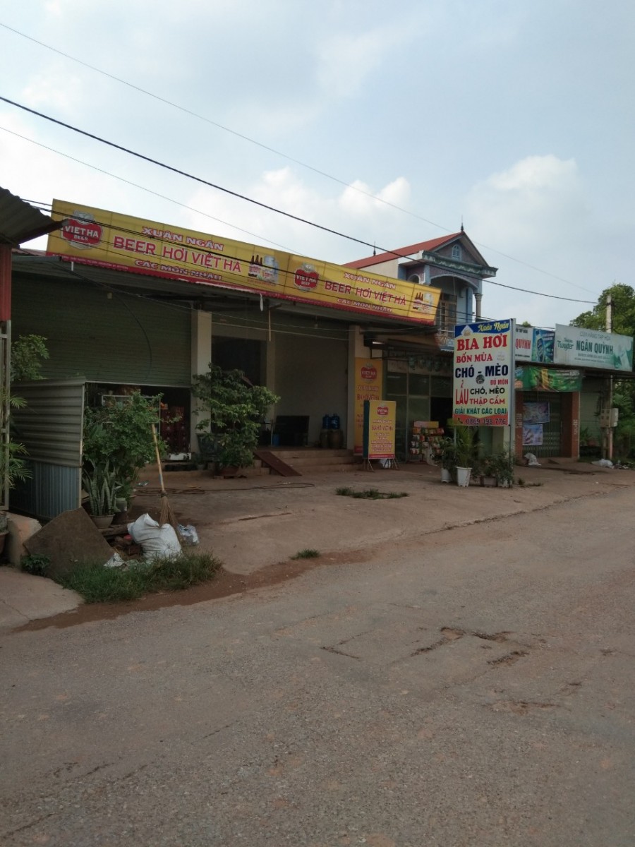 Cần tiền tiền làm ăn nên bán mảnh đất mặt đường thuốc xã Xuân Phương, Phú Bình ,Thái Nguyên .