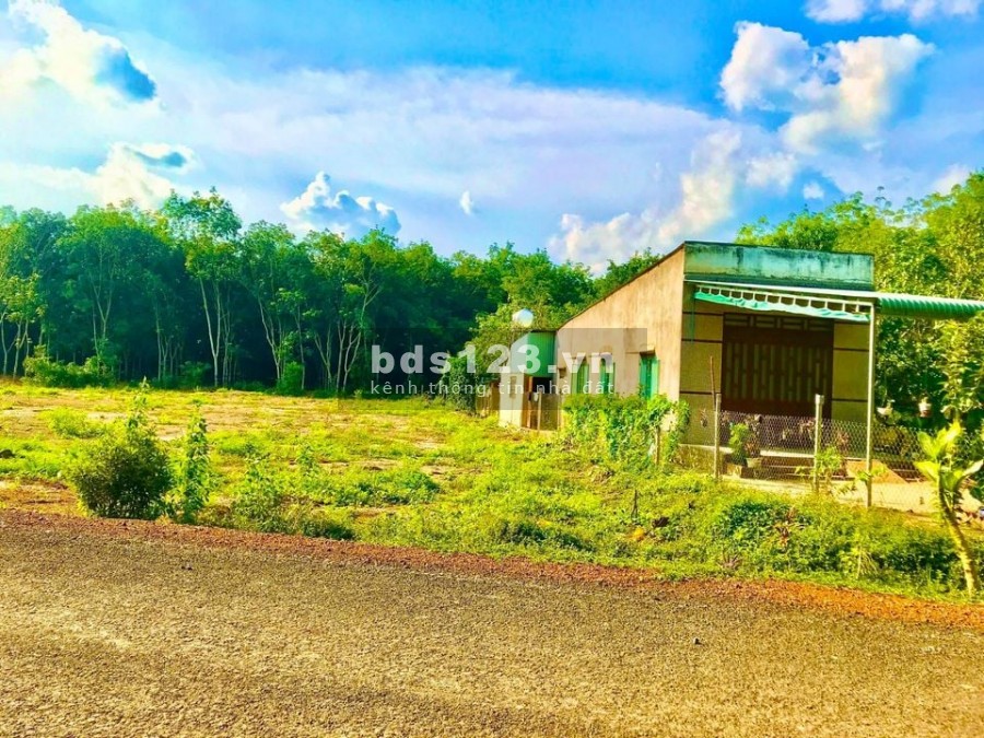 Bán lô đất gần đồn Cảnh Sát Giao Thông xã Đồng Tâm, huyện Đồng Phú, Bình Phước