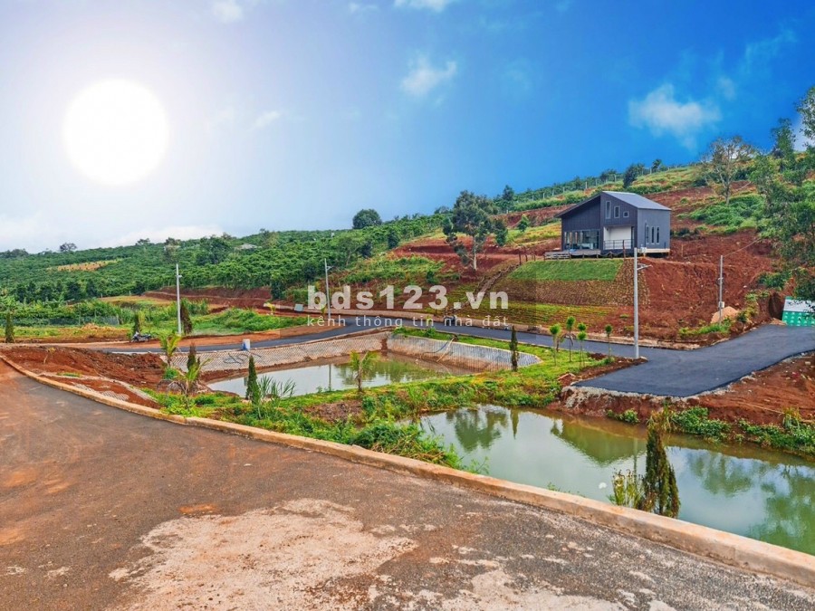 Ngợp thở mùa COVID cần gấp miếng đất Bảo Lộc Lâm Đồng, giá 650 triệu