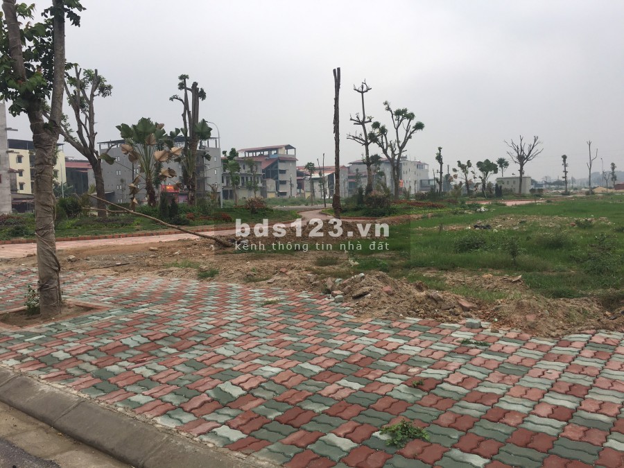 Bán đất Dự án An Bình Trần Xá view cây xanh, diện tích 100m2, sổ đỏ