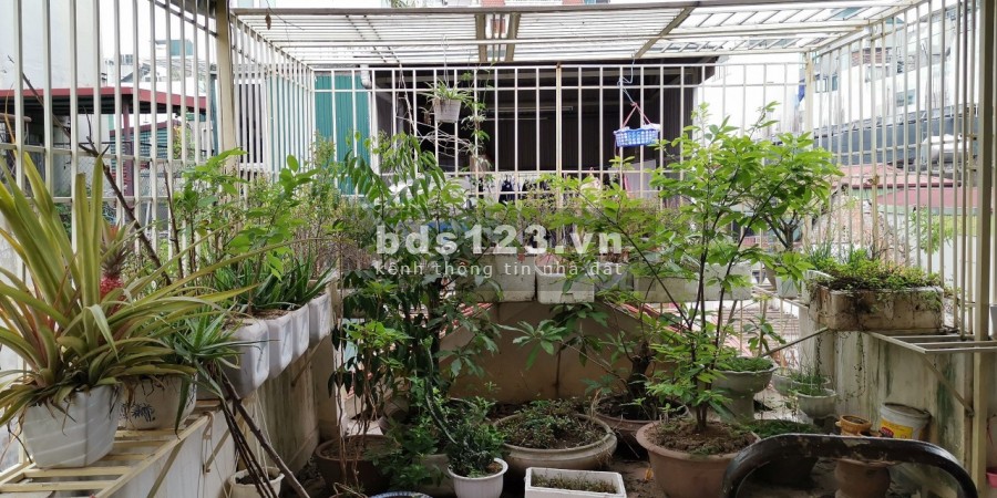 Chủ cần bán gấp nhà ngõ 24 phố Hàng Bông, liên hệ chính chủ 0949794555