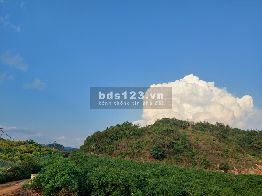 Bán đất chính chủ bao rộng, đầu tư sinh lời, liên hệ 0984414109