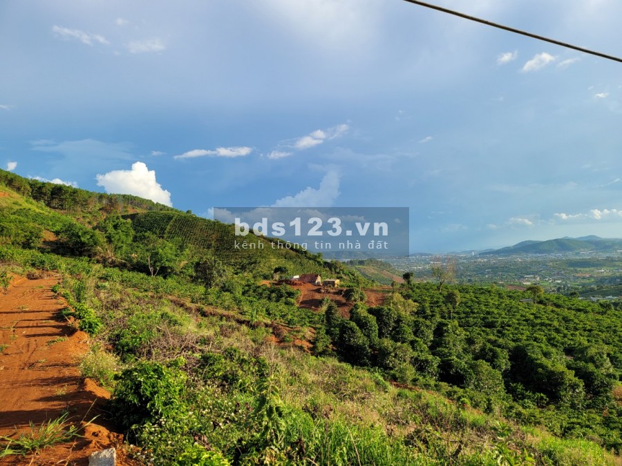 Bán đất vùng ven đà lạt, chỉ với giá 690tr, view đẹp giá rẻ, cọc 100 triệu