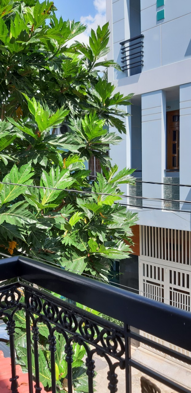 Nhà ngộp bán nhanh diện tích 5 x14, đường 7m, 3 tầng, giá bán 8.3 Tỷ