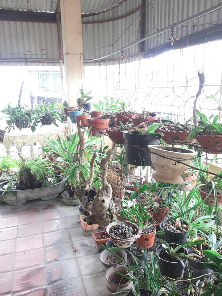 Bán đất tại Láng, oto tránh, kinh doanh tốt, tặng nhà 3 tầng, diện tích vuông vức