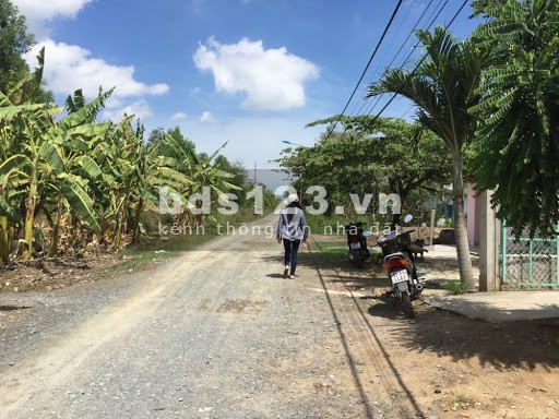 Đất nông nghiệp 5000m2 phù hợp đầu tư Lý Nhơn, huyện Cần Giờ