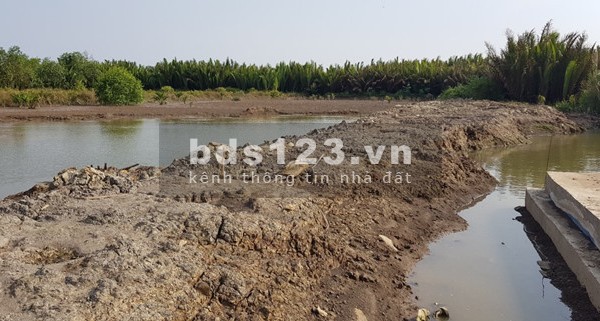 Đất nông nghiệp 5000m2 phù hợp đầu tư Lý Nhơn, huyện Cần Giờ