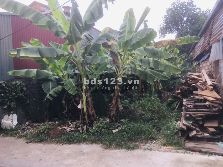 Chính chủ bán đất Sơn Đông, Sơn Tây, sổ hồng chính chủ, bàn giao ngay