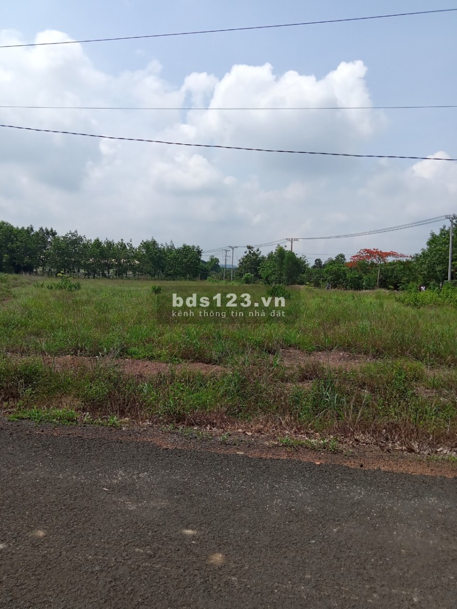 Đất sào Đồng Phú mặt tiền đường nhựa lớn ngay UBND, trường cấp 1,2 Tân Hưng giá F0 chưa qua đầu tư