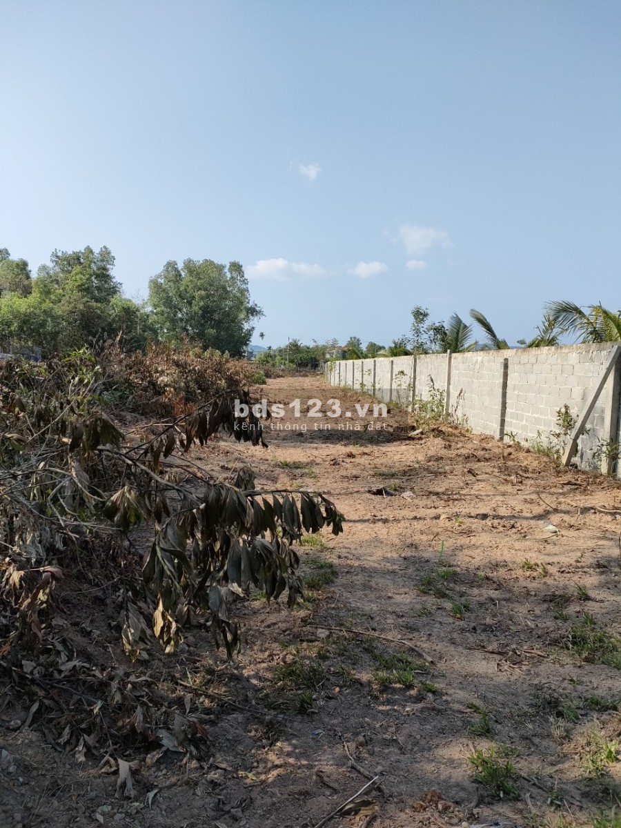 Cần Bán 7500m2 Quy Hoạch Đất Ở - Mặt Tiền Đường Bến Tràm , Phú Quốc