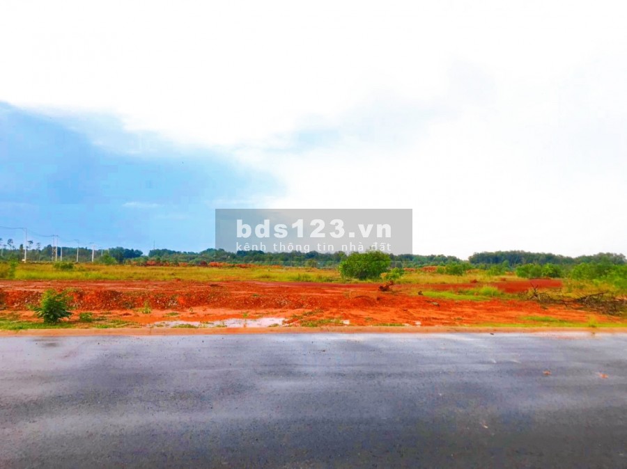 Cần tiền làm ăn nên cần bán gấp 1.6ha ở quê, giá 168 triệu, có sổ hồng, thổ cư đường 16m