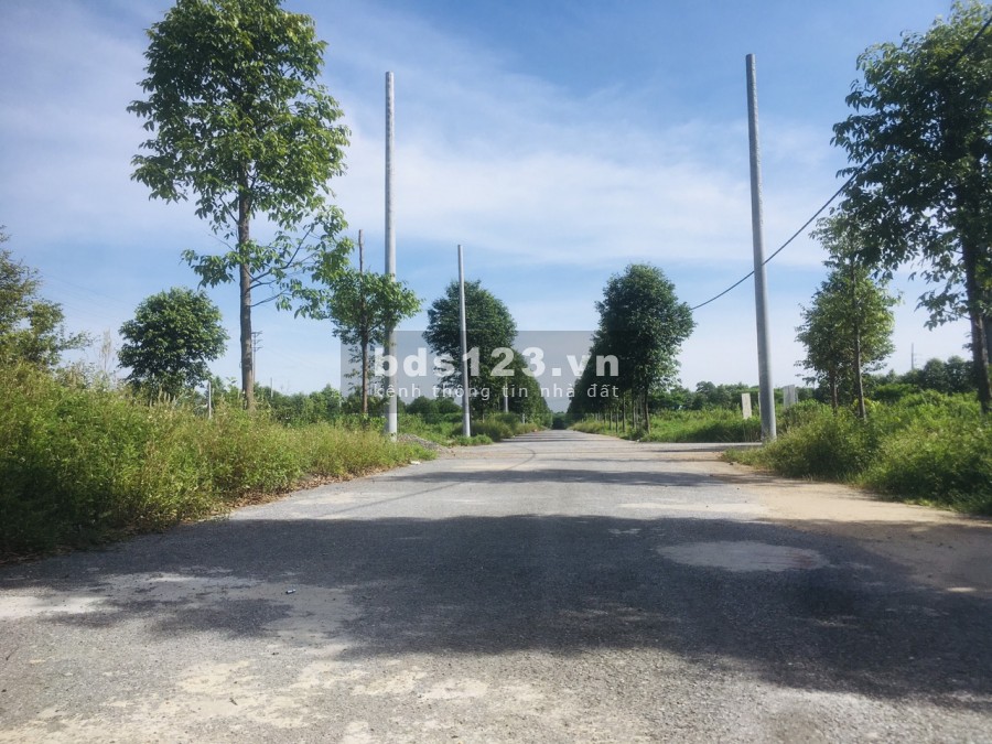Đất tái định cư đại học Quốc Gia sổ hồng chính chủ, giá 17 triệu/m2, đường lớn