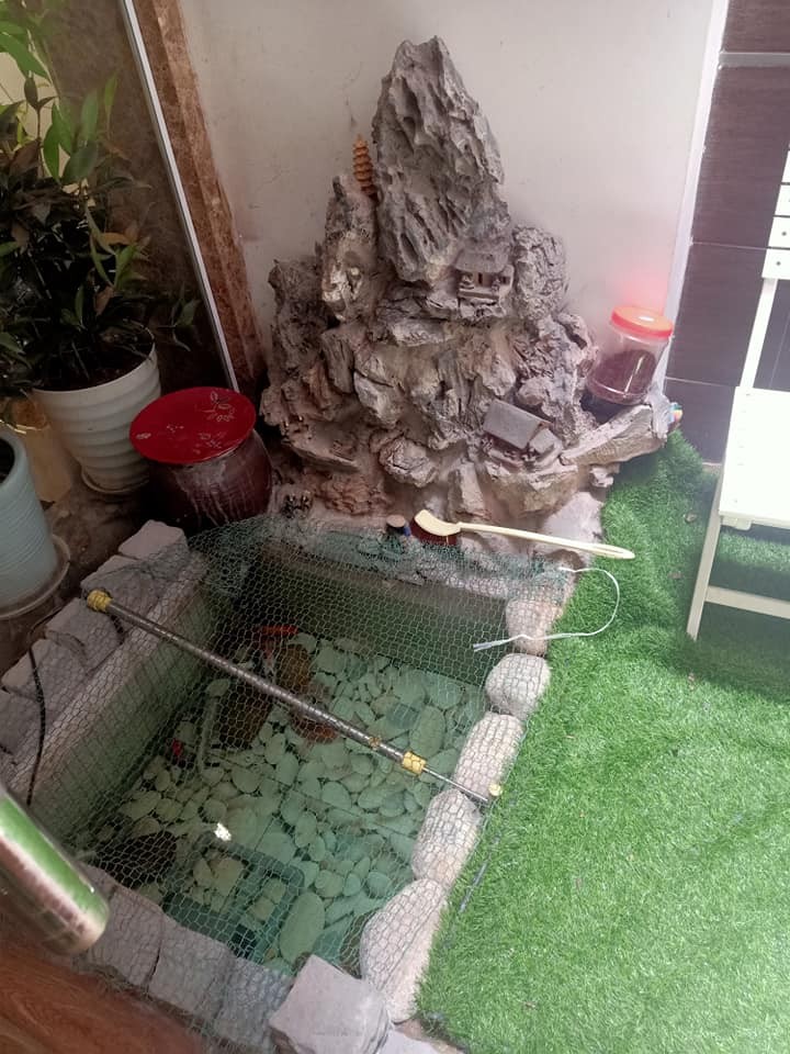 Siêu phẩm trung tâm Cầu Giấy đẹp như ánh bình minh bừng len giữa đêm tối