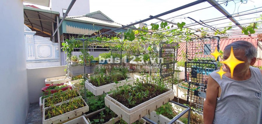 Bán nhà Tô Vĩnh Diện, Thanh Xuân, lô góc, ô tô đỗ, dt 60m2, nhỉnh 7 tỷ
