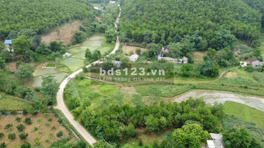 Siêu Phẩm 2800m có 1500m thổ Cư bám đường 30m Cao Dương Lương Sơn