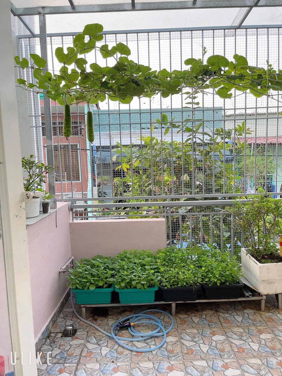 Bán nhà 66M2 Trần Quang Khải Tân Định Quận 1 chỉ 5 tỷ 500 liên hệ 0856010313