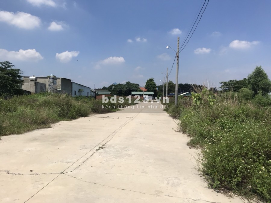 1,536m2 An Phước ấp 5, thổ cư 300m, 2 đường vào đất, giá chỉ 4,3 triệu/m2