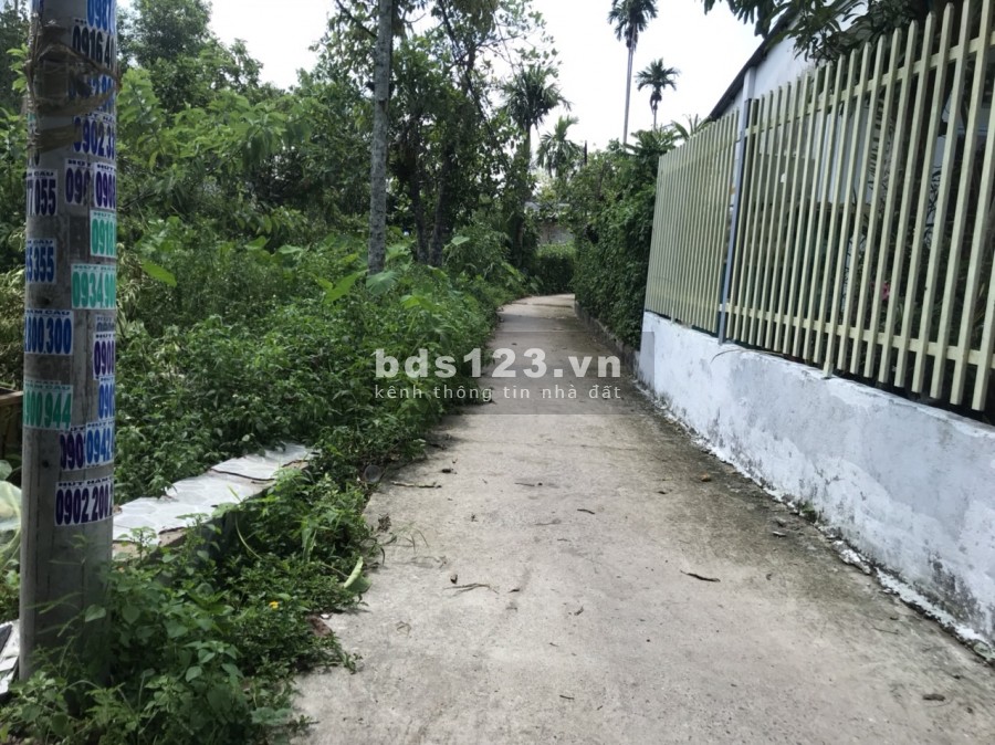 1,536m2 An Phước ấp 5, thổ cư 300m, 2 đường vào đất, giá chỉ 4,3 triệu/m2