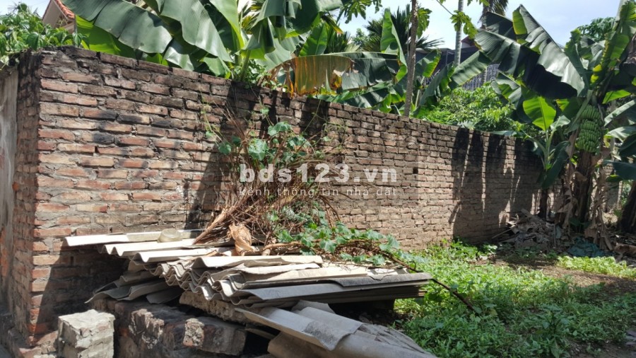 Bán đất Yên Kiện, Ngọc Hồi, an sinh đỉnh yên tĩnh, dt 48m2, dư 1 tỷ, sổ đẹp