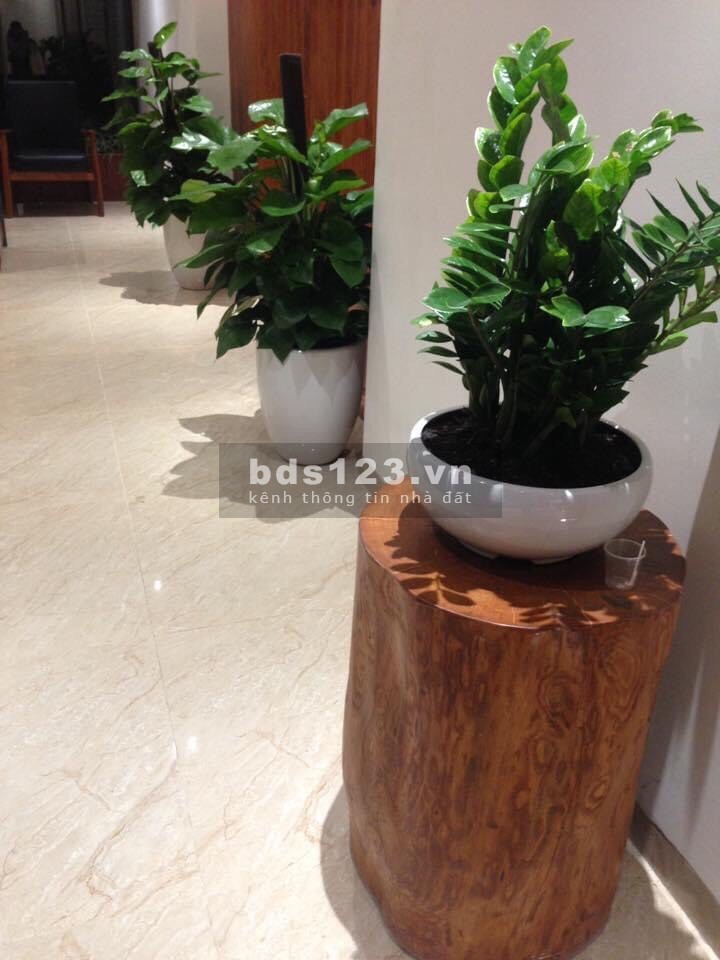Cho thuê căn hộ chung cư Sun Square, dt 105m2, 3 pn, giá chỉ 13 triệu/tháng