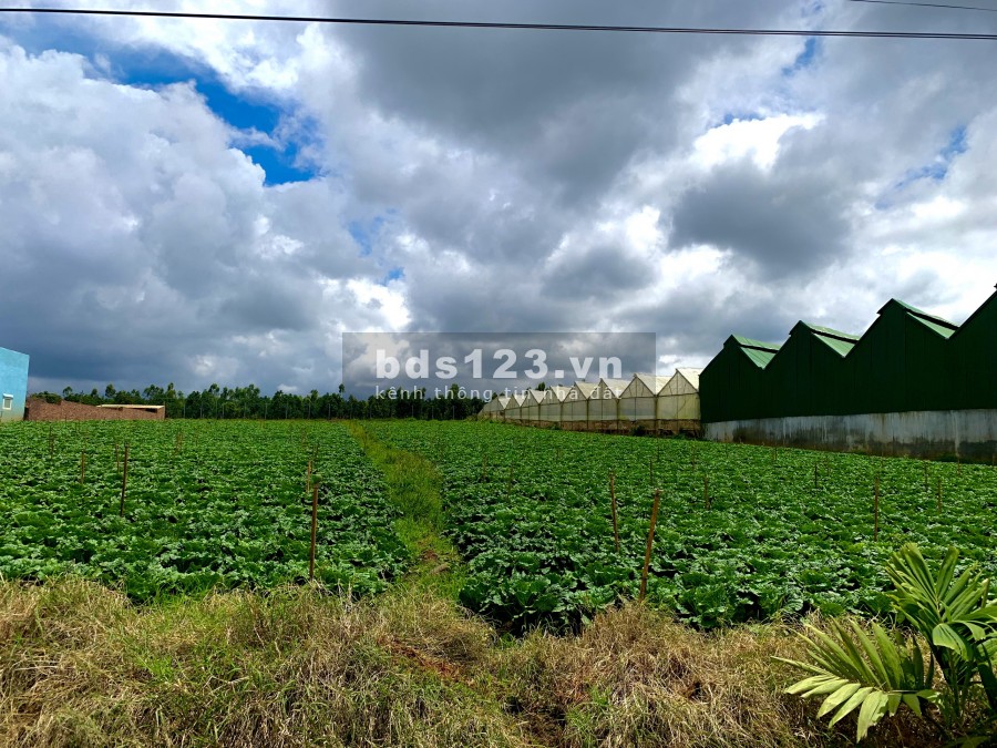 Đất mặt tiền đường Nguyễn Chí Thanh, thổ cư sẵn 200m2, sổ hồng riêng bao sang tên