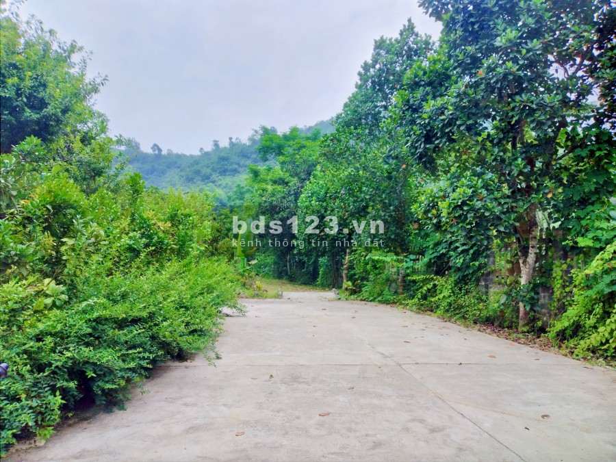 Mở bán siêu phẩm Nghỉ dưỡng có sẵn nhà vườn view sông suối, ao hồ, đối nùi cảnh đồng ở Lương Sơn, Hoà Bình