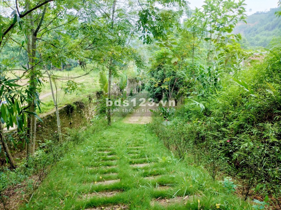 Mở bán siêu phẩm Nghỉ dưỡng có sẵn nhà vườn view sông suối, ao hồ, đối nùi cảnh đồng ở Lương Sơn, Hoà Bình
