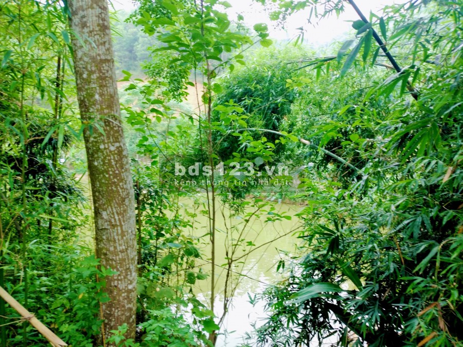Mở bán siêu phẩm Nghỉ dưỡng có sẵn nhà vườn view sông suối, ao hồ, đối nùi cảnh đồng ở Lương Sơn, Hoà Bình