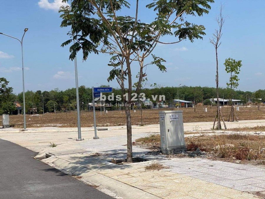 Tôi cần bán mảnh đất dịch vụ khu D gần Trung Tâm Thương Mại dt 130m2