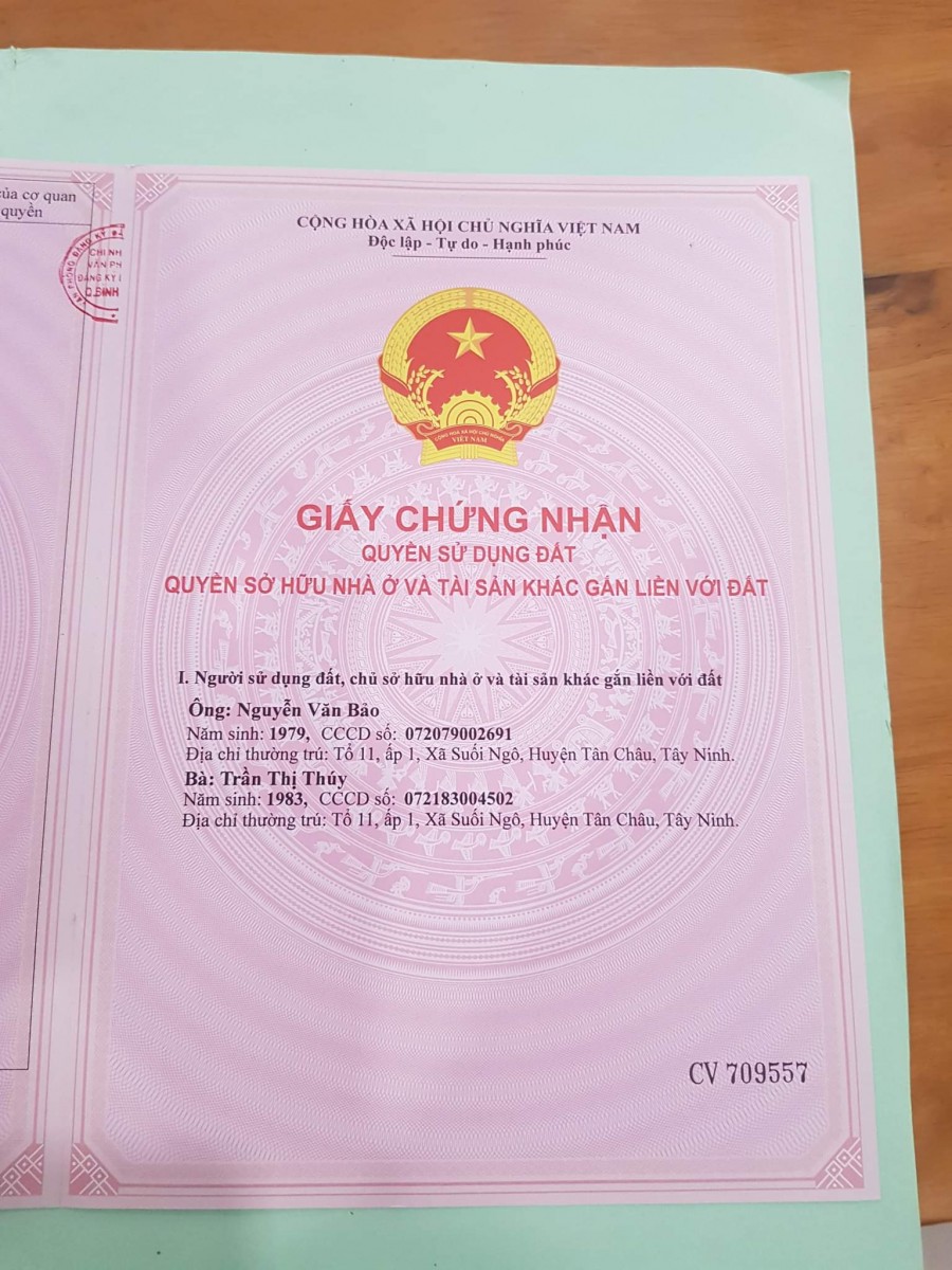 Chính chủ cần bán nhà hoặc cho thuê nhà ấp Chiến Lược Khu phố 2 P Bình Hưng Hòa A Bình Tân