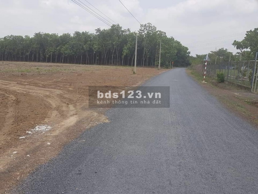 Bán đất Thị xã Bến Cát, sổ sẵn, gần khu công nghiệp, diện tích 330m2, giá 825 triệu