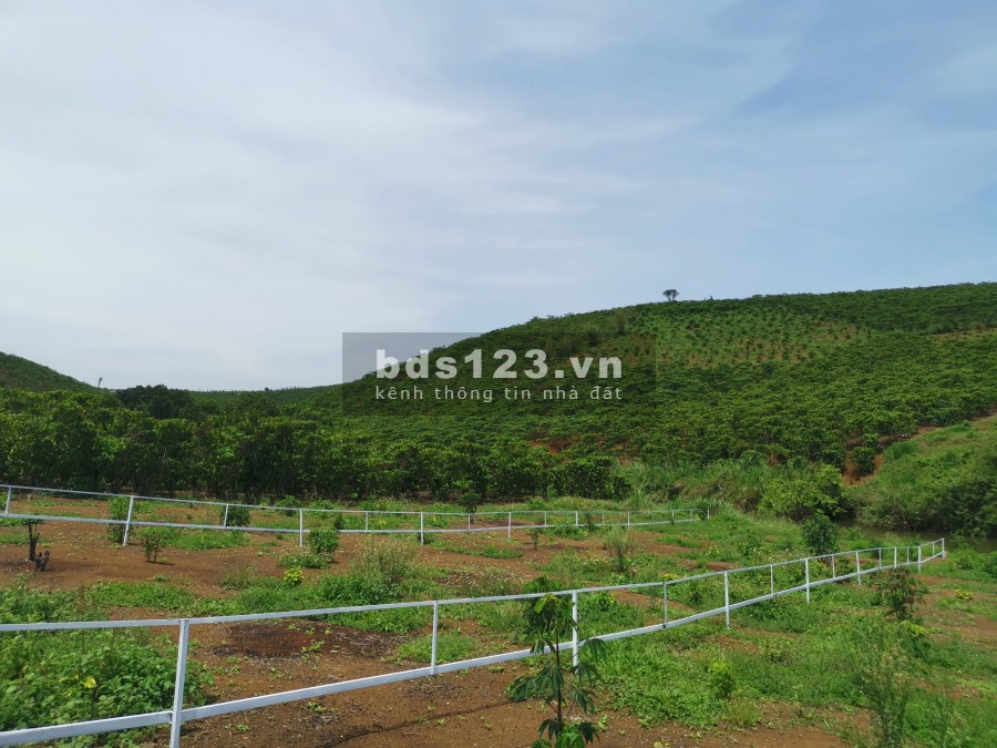 Khu dân cư Đồi Mây- Thiên Đường Nghỉ Dưỡng Của Mọi Gia Đình,