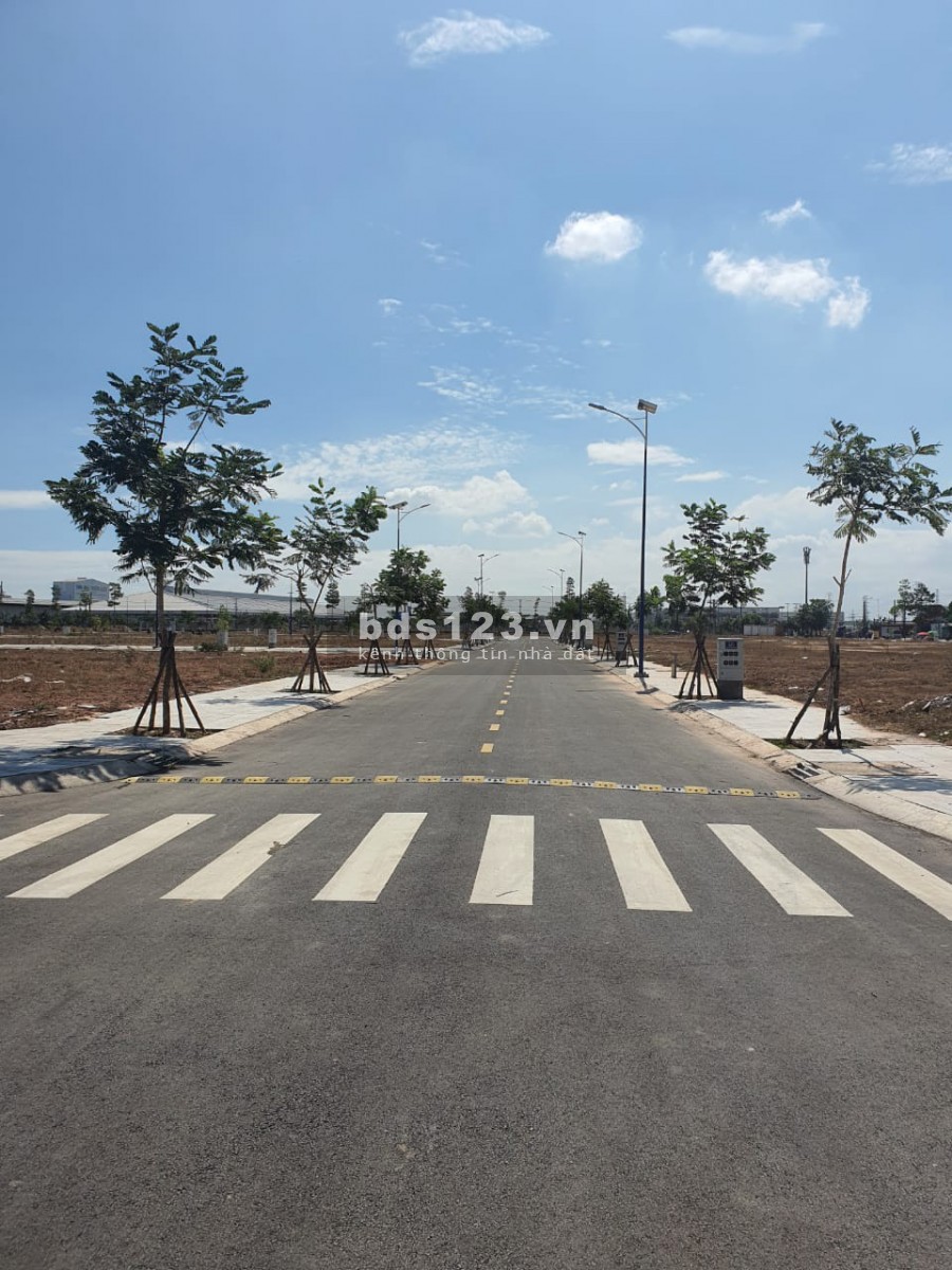 Tôi cần bán mảnh đất dịch vụ khu D gần Trung Tâm Thương Mại dt 130m2
