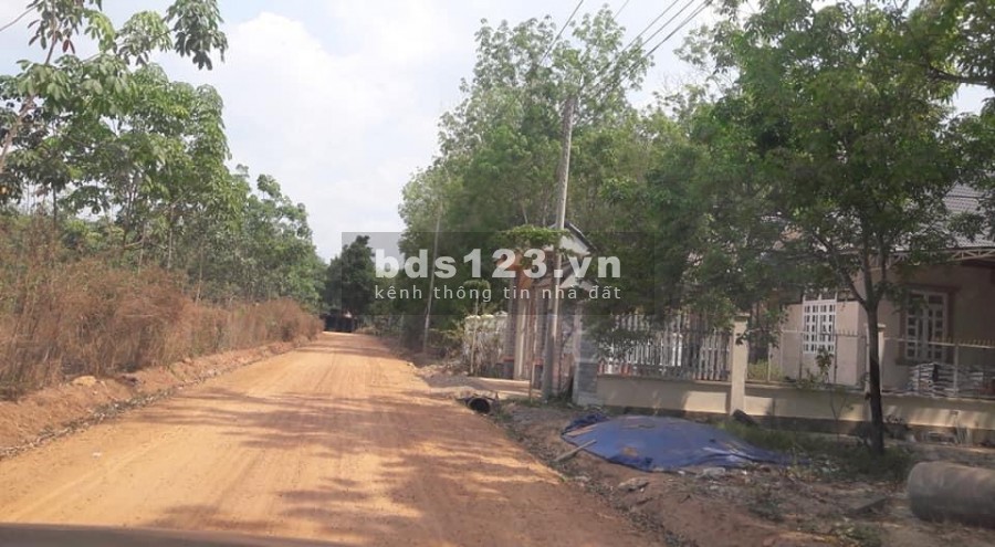 Bán đất Dầu Tiếng giá rẻ, sát ĐT 750, dân cư đông đúc, giá 650 triệu