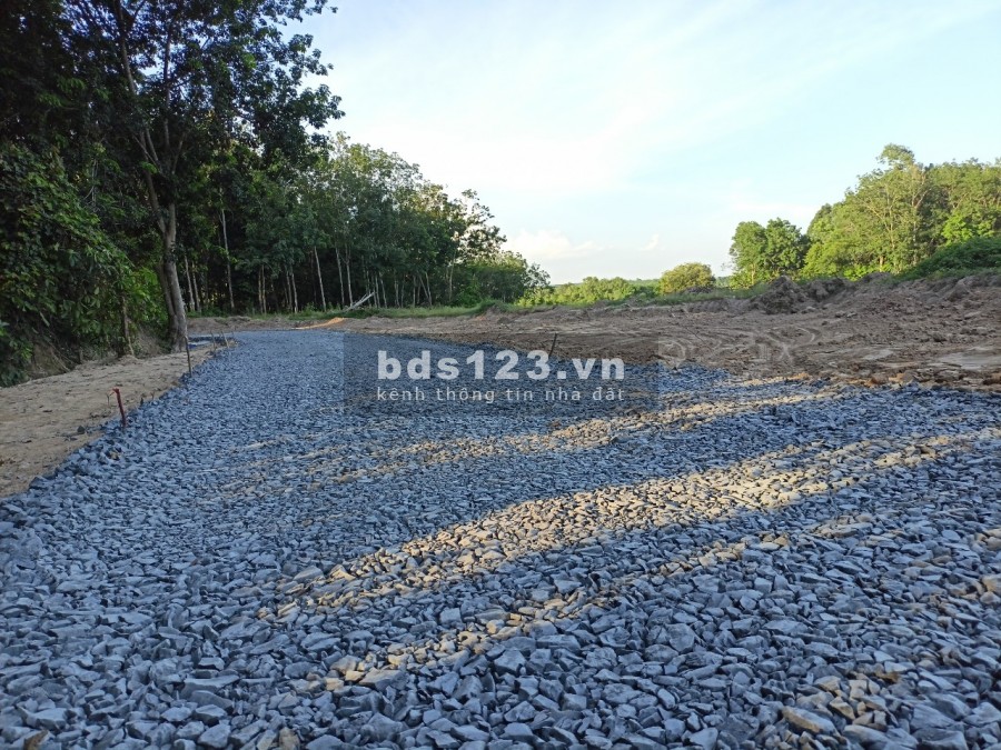 Đất nền phú chánh sổ sẳn chỉ 3,7 triệu/m2 gần sát bênh viện nhi, lh 0383335289