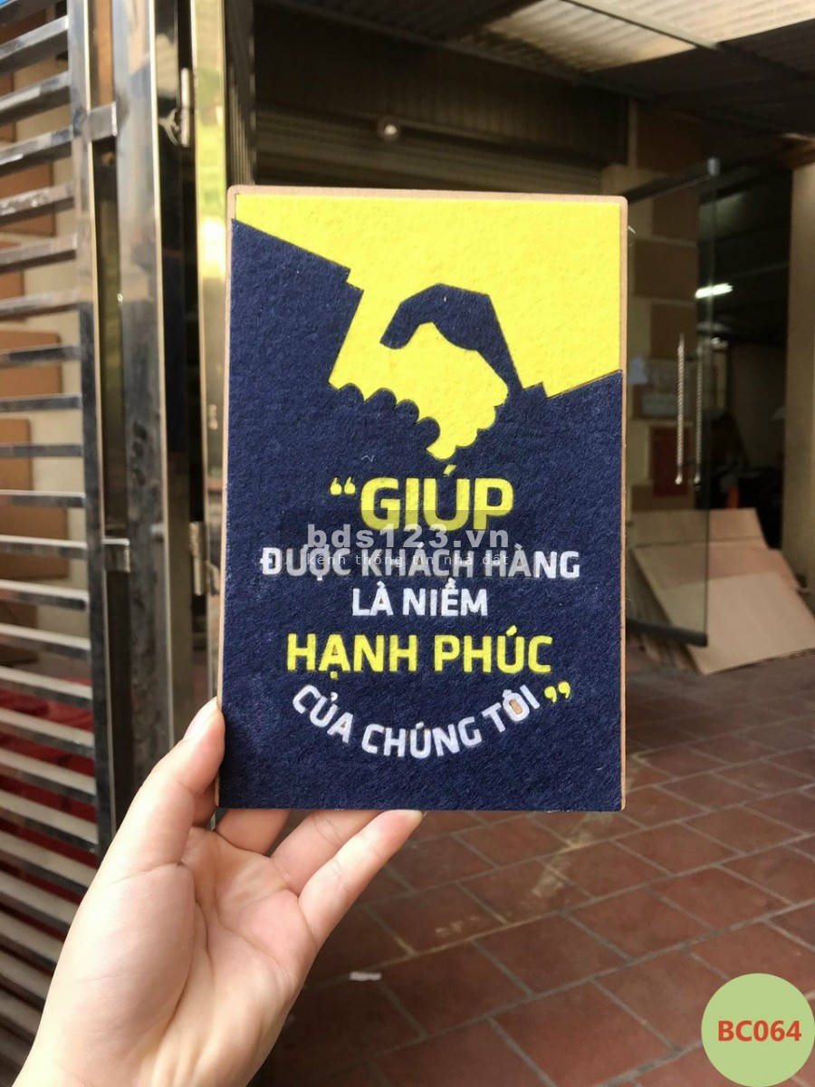 Đất nền giá rẻ khu vực Đồng Xoài đối diện trường Tiểu Học Tiến Hưng