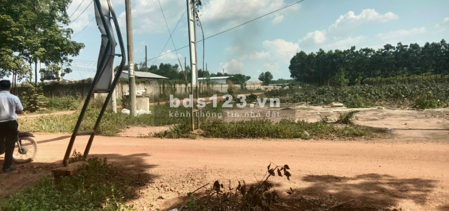 Đất nền giá rẻ khu vực Đồng Xoài đối diện trường Tiểu Học Tiến Hưng